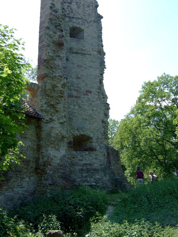 2011- 085.jpg